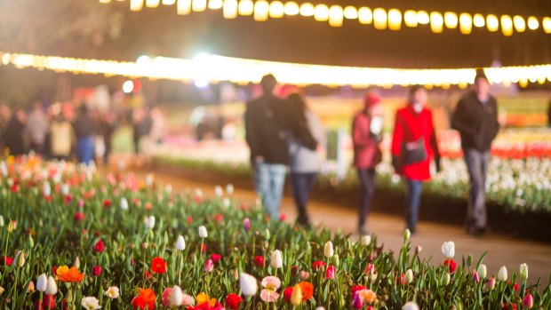 Nightfest is on again for Floriade 2016, with live music, comedy and night markets.