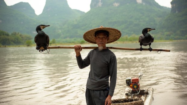Cormorant fisherman in Xingping, Guangxi.