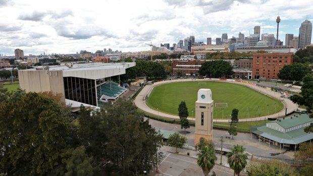 The Wentworth Park greyhound track in Glebe, with Sydney's skyline in the background.