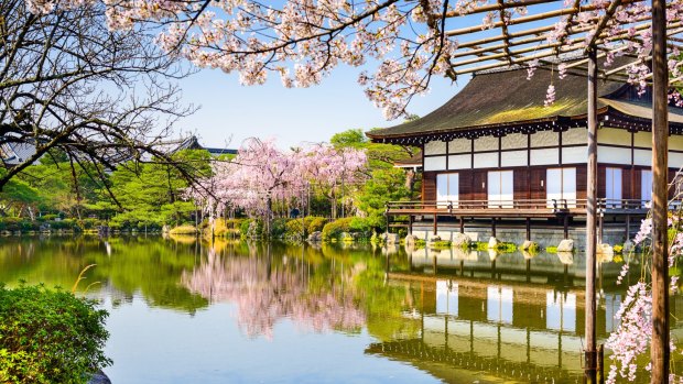 Cruise Express' Springtime in Japan tour includes prime cherry blossom sites in Kyoto.
