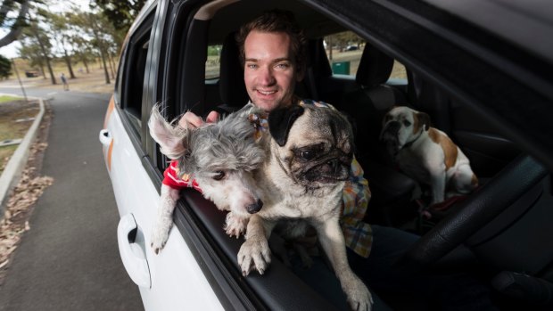 Dr Sam Kovac, with dogs Pepe and Pearl Von Stein, in one of his pet ambulances.