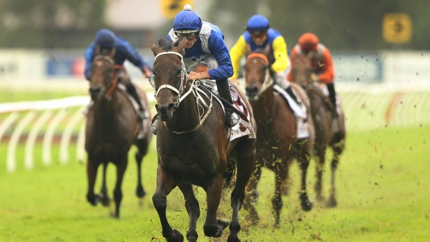 The best: WInx leaves her rivals in her wake in the George Ryder Stakes last year