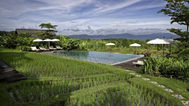 Rice fields surround the pool at Sanak Retreat Bali.
