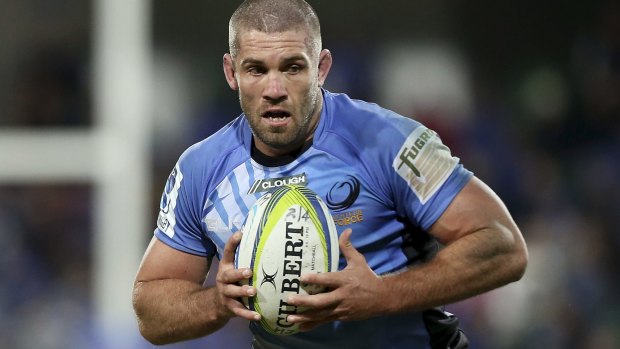Force to be reckoned with: Western Force skipper Matt Hodgson.