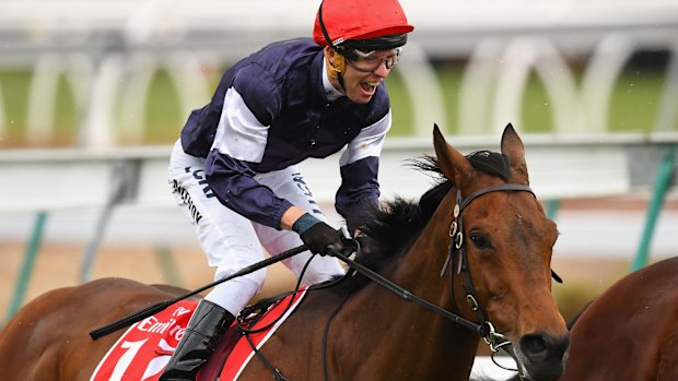 Punter's pal: Kerrin McEvoy riding Almandin to victory.