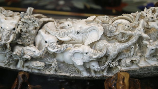 Carvings of elephants and other animals are shown inside a mammoth ivory tusk for sale in the window of a Chinatown shop in San Francisco this week.