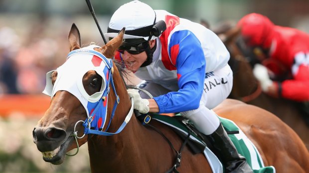 All smiles: Lumosty wins the Fillies Classic at Moonee Valley.