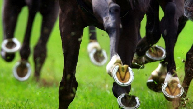 The former Racing Queensland procurement officer is charged with five counts of misconduct in public office and five of fraud.