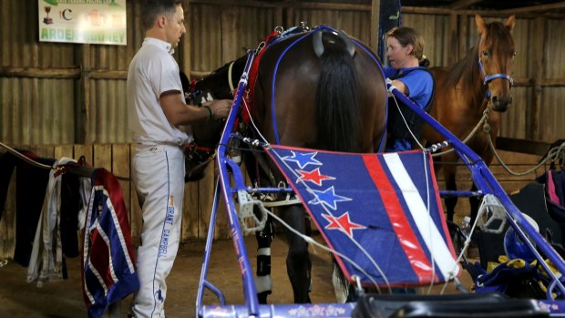 Grant Campbell assists Kerryn Manning in harnessing Arden Rooney ahead of the Terang Pacing Cup.