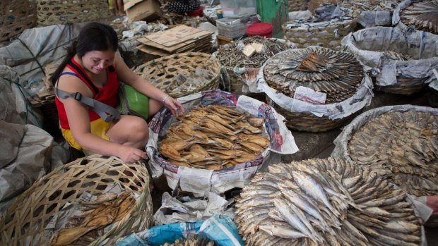 A stall in Taboan market selling dried fish, a delicacy in the Philippines. 