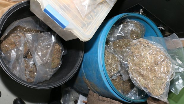 Police found more than 50 kilograms of cannabis in a raid on a property near Warwick.