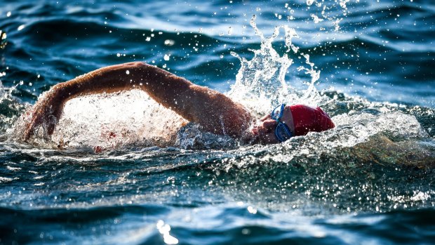 Swimmer Grant Siedle swims the "Rip" from Point Lonsdale to Point Nepean on Monday.