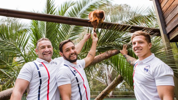 The French rugby league team get up and close with Australia's native animals at the National Zoo and Aquarium. Coach Aurelien Cologni, Mark Kheirallah, and captain Theo Fages  with Kubu a Goodfellow's Tree Kangaroo.