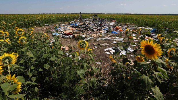 Sunflowers grow around the wreckage and debris at the crash site of Malaysia Airlines Flight MH17 near the village of Hrabove (Grabovo), Donetsk region. 