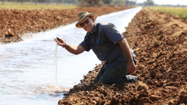 Ian Blight, a Griffith rice farmer, says Japan is a key market for growers because of the premium paid. 