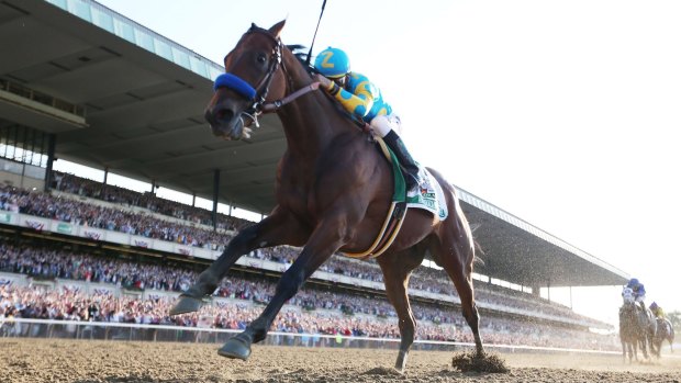 Expensive: Coolmore may charge as much at $322,000 for a service from Triple Crown winner American Pharoah.