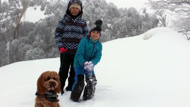 Heavy snowfall at Mount Buller in the first week of September.
