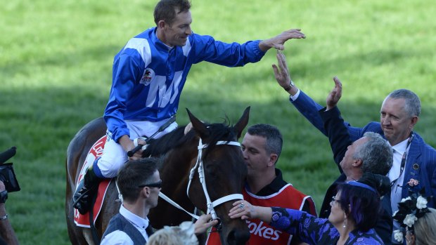 Wonder horse: Winx could embark on her first European campaign next year.