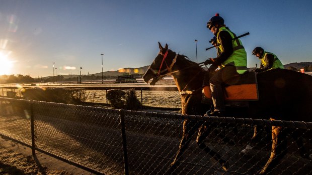 Canberra trainers have been banned from the Highway Handicap.