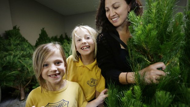 Picking a winner: (From left) Millie and Isobelle Van Den Hoek help mum Simone to choose a Christmas tree at Merlino's Christmas Trees in Wareemba.