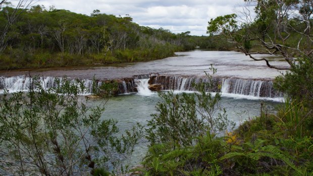 Fruit Bat Falls, North Queensland.