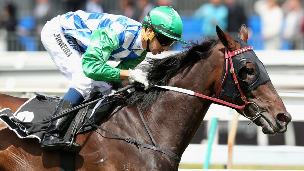 Cup bound: Signoff, ridden by Joao Moreira, races into the Melbourne Cup field with a big win in the Lexus Stakes. 