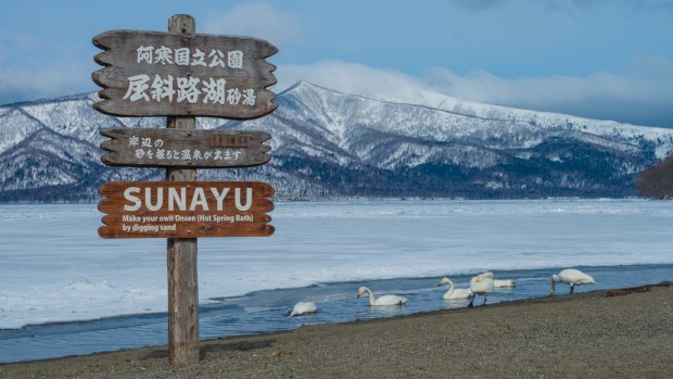 Sunayu Onsen (hot spring) in Lake Kussharo, Hokkaido. It is famous as a winter residential area of whooper swans.