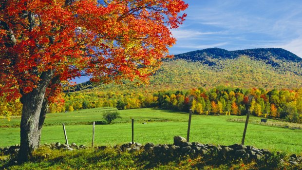 Autumn glory: The rolling hillsides of New Hampshire.