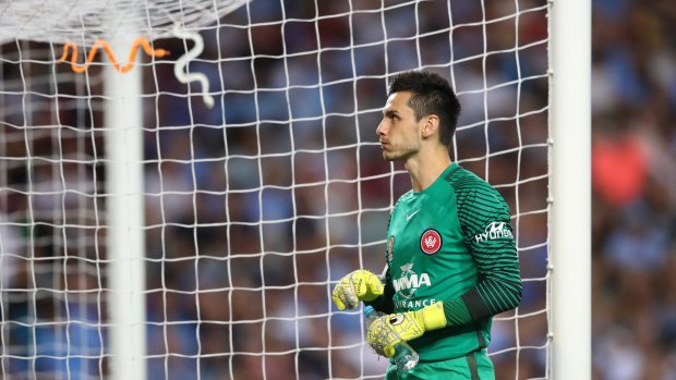 Hostile reception: Snakes were thrown from The Cove at former Sydney FC and now Western Sydney Wanderer's goalkeeper Vedran Janjetovic.