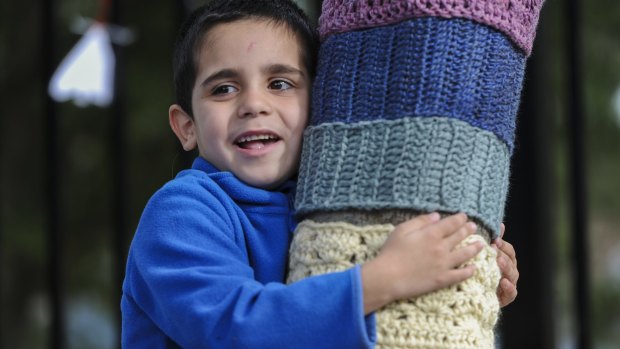 Carmaron Clarke-Pisani, 6, hugs a tree with a knitted covering.
