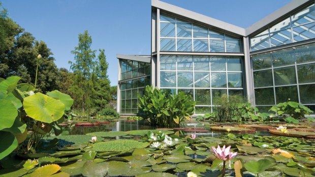 Greenhouses and lily ponds in Frankfurt's Palmengarten.