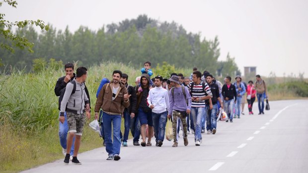 Syrian migrants, headed for EU member Hungary, walk in groups through northern Serbia on Thursday. 