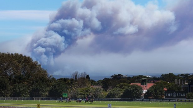 The fire is emitting large amounts of smoke, which can be seen right across Sydney, including Royal Randwick.