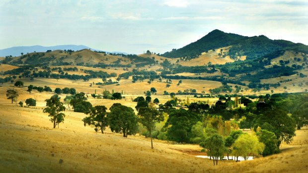 Scenic: The hills around Mansfield, in north-central Victoria.