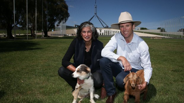 Victorian dairy farmer Karrinjeet Singh-Mahil and Liverpool Plains beef farmer Derek Blomfield at Parliament House in Canberra on Tuesday.
