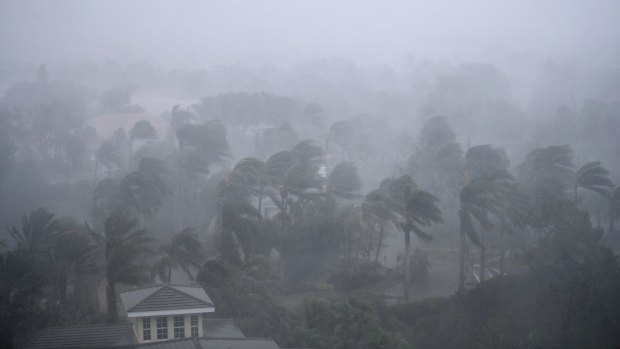 Palm trees blow in the wind as Hurricane Irma passes through Naples, Florida.