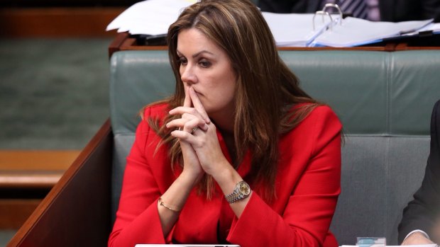 The sexist slavering over Peta Credlin, former chief of staff to Tony Abbott, has left feminists confused.