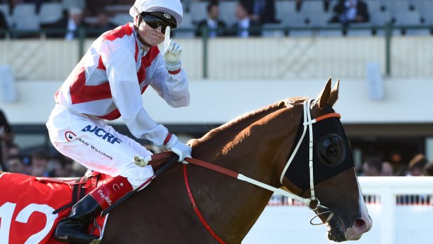 Primed to shine: Sydney colt Star Tur shapes as the one to beat in the Coolmore Stud Stakes.