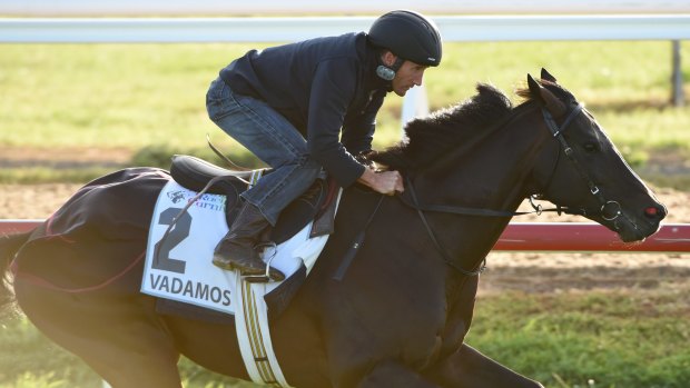 Vadamos, with Damien Oliver in the saddle, works at Werribee.