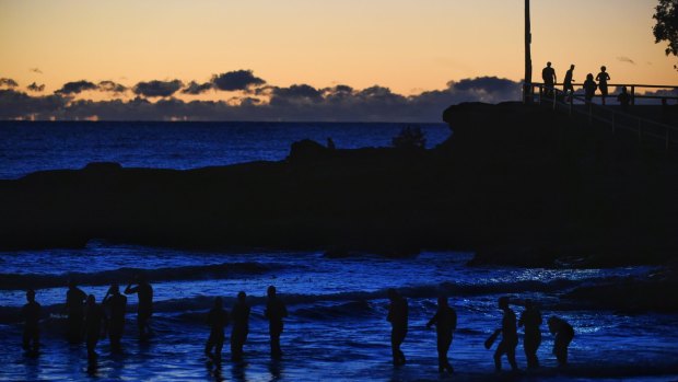 Manly swimmers prepare to take the plunge as big chill arrives over NSW.