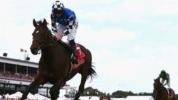 Family line: Protectionist was the second consecutive Melbourne Cup winner to be sired by the late Monsun.