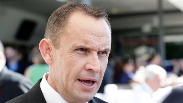 Common Sense: Chris Waller said the decision to keep Press Statement in Sydney was an easy one.