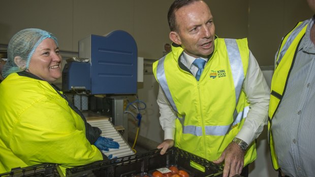 Handle with care: Prime Minister Tony Abbott meets tomato packer Sonya Mackay in Cairns on Friday.