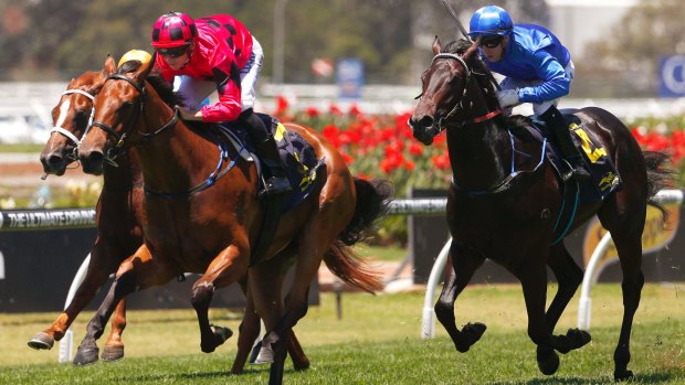 Secret Lady strides to victory in the Golden Gift at Rosehill.