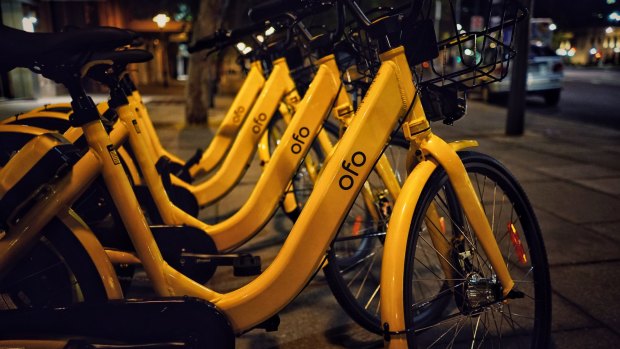 Ofo's share bikes will appear in Sydney but common sense is required for the scheme to truly succeed.