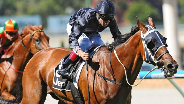 Mourinho was allowed to take part in Saturday's group 1 Orr Stakes at Caulfield after he was kicked as horses milled around behind the barriers before the start.