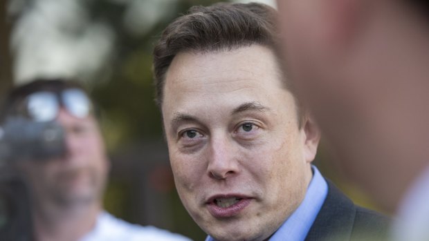 Battery powered: Elon Musk, co-founder and chief executive officer of Tesla Motors Inc.