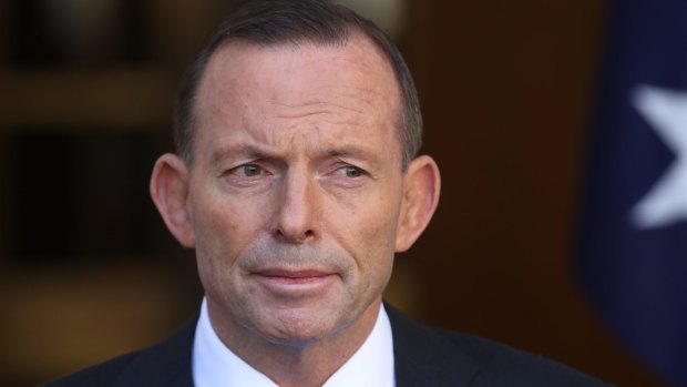 Tony Abbott has long planned an end of year ministerial shake-up.