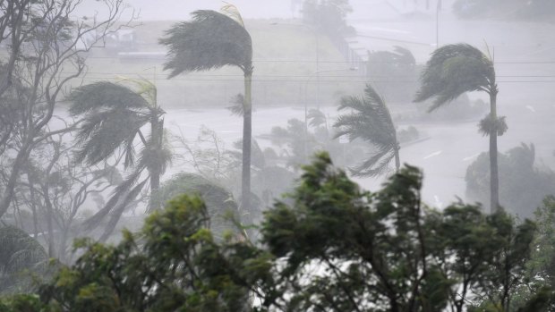 Cyclone Debbie has hit key growing areas around Bowen. 