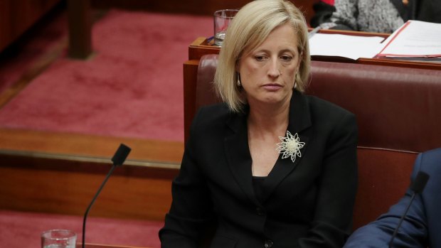 Senator Katy Gallagher says she took all reasonable steps to renounce her British citizenship before being elected.